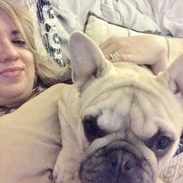 French Bulldog Puppies from Bouledogue Royal