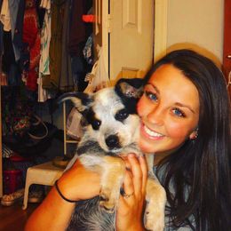 Australian Cattle Dog and Labrador Retriever Puppies from Trinity C Australian Cattle Dogs and Silver Labradors