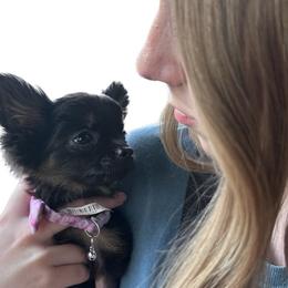 Gidget - Mi-Ki