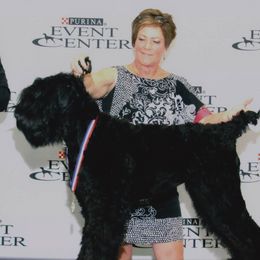 Black Russian Terriers from Beautiful Black Russian Terriers