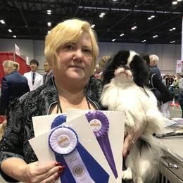 Hoku - Japanese Chin