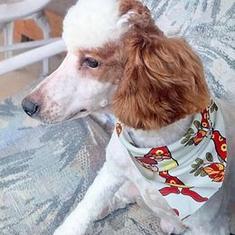 Fettuccine - Parti male Poodle puppy in Cypress Inn, Tennessee from Nine Pines Poodles