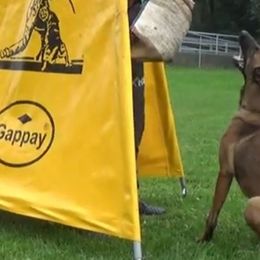 CAYRRA - Belgian Malinois