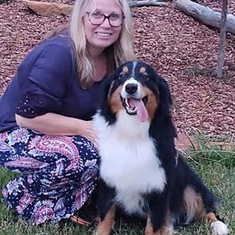 Tucker - Australian Shepherd