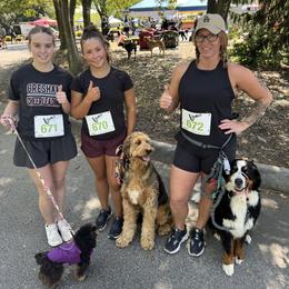 Bernedoodle, Bernese Mountain Dog, Cavalier King Charles Spaniel, and Goldendoodle All Grown Up from Adventure Doodles Of East TN