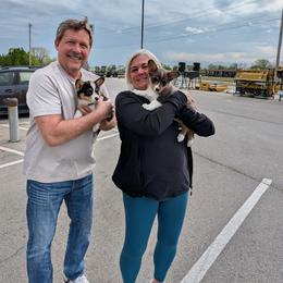 Beatrice - Black and tan female American Corgi puppy in Shawnee, Oklahoma from Sunray Ranch