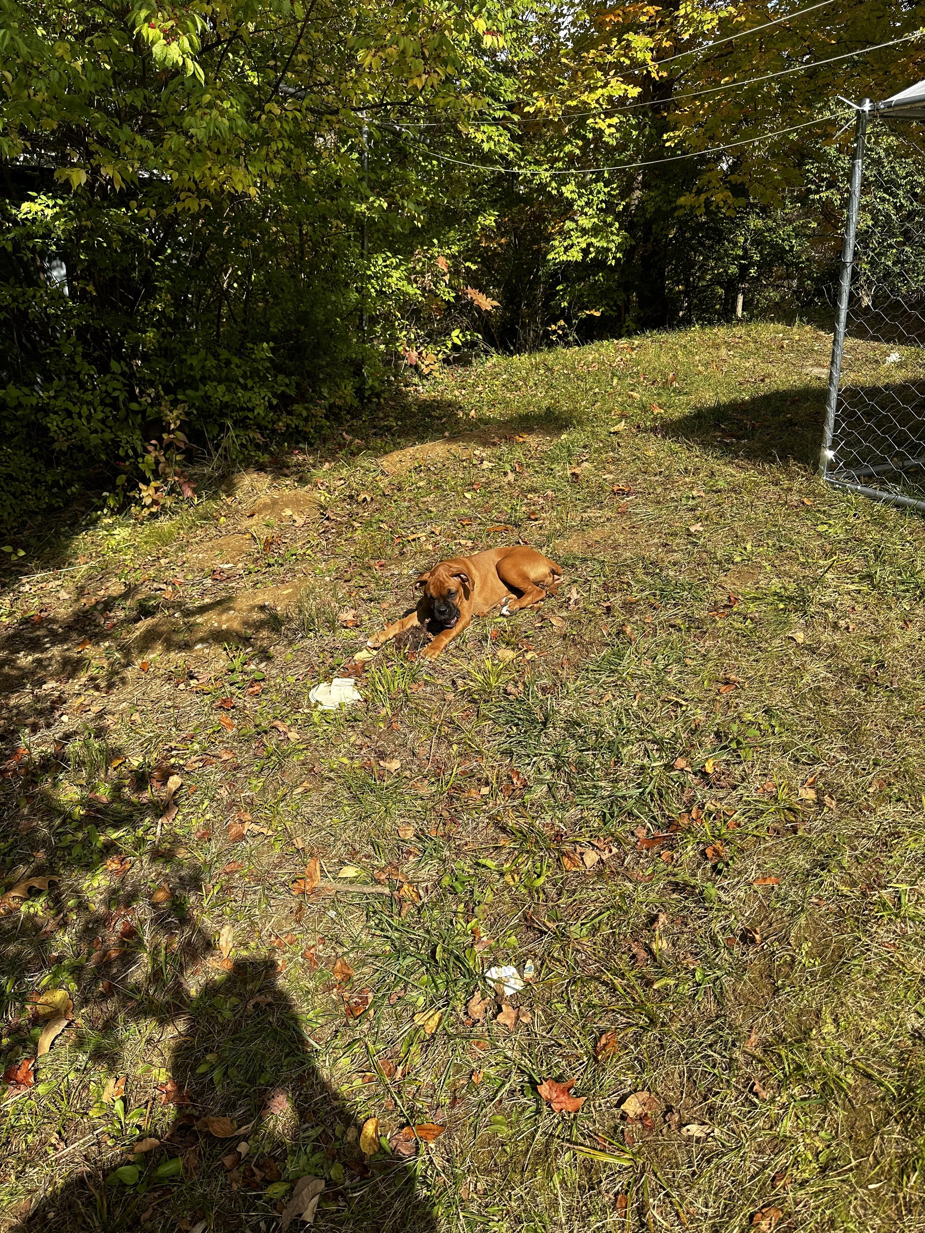 Nalla