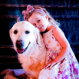 Angel - Golden Retriever