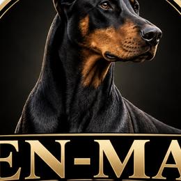 Doberman Pinschers from Jen-Mar Doberman's