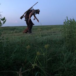 Golden Retriever All Grown Up from Golden Acres LLC