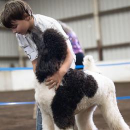 Vanya Dance Clara - Parti female Poodle puppy in Springfield, Oregon from Valaurah Farms