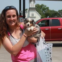 Miniature Australian Shepherd and Toy Australian Shepherd Puppies from Sapphire Stables