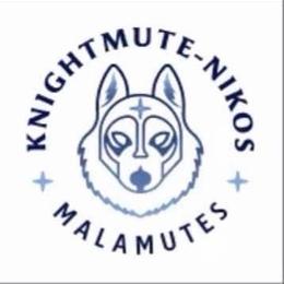 Girl 4 - Gray and white female Alaskan Malamute puppy in Mount Morris, Michigan from Knightmute-Nikos Malamutes