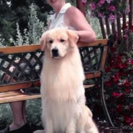 Golden Retrievers from Waynewood Golden Retrievers