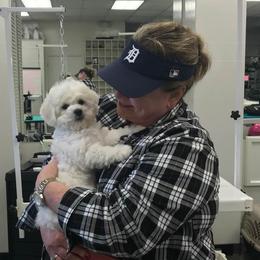  Puppies from Wendan Bichons