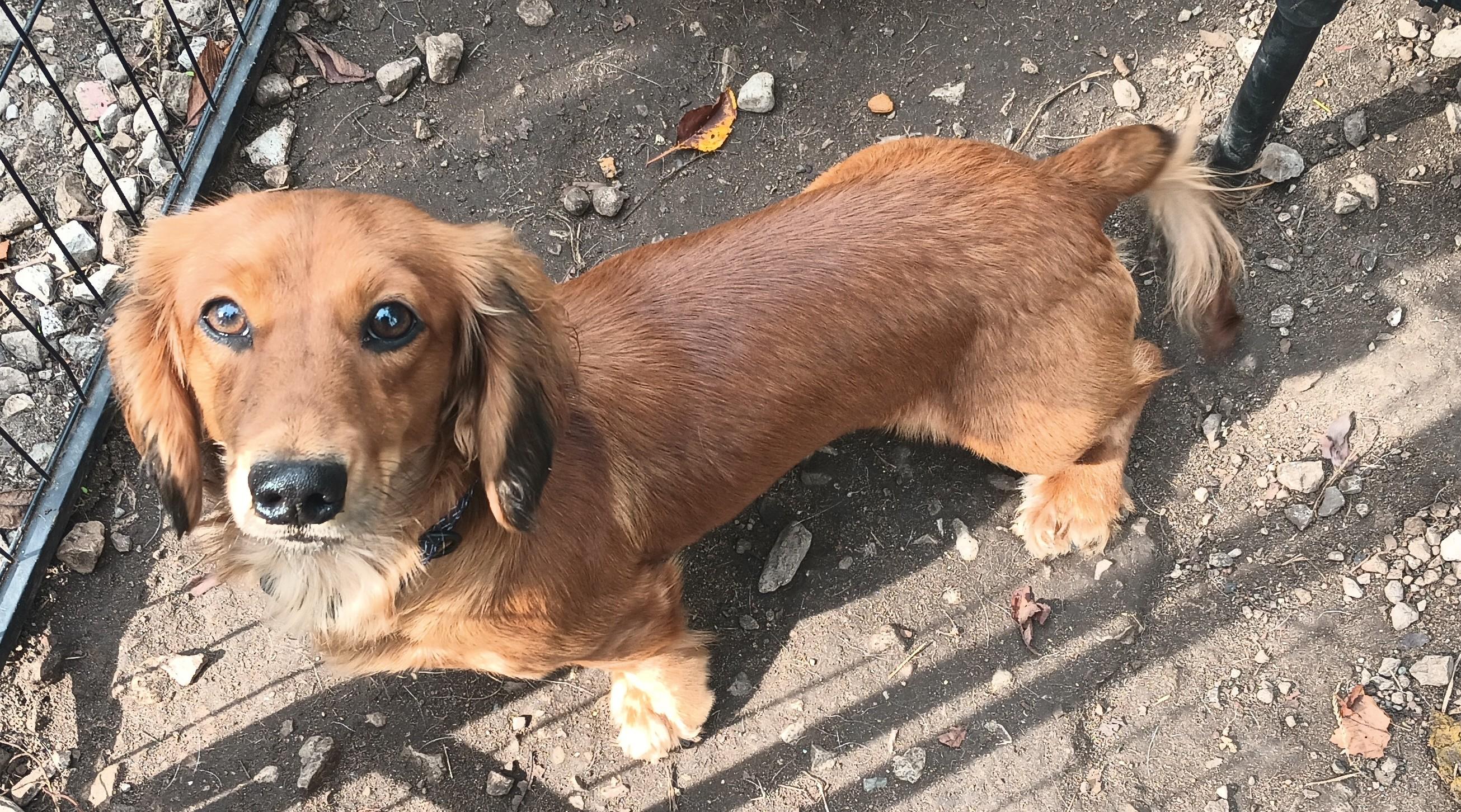 Oliver