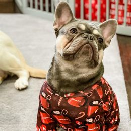 French Bulldogs from Valiant Frenchies