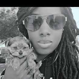 Biewer Terrier, Yorkipoo, and Yorkshire Terrier Puppies from Tiny Paws Luxury Pets