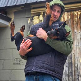 Jaguar - Black and rust male Doberman Pinscher puppy in China Township, Michigan from Snell's Superior Kennel Dobermann & GSP