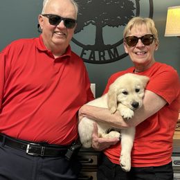 Red Boy - Light golden male Golden Retriever puppy in Seagrove, North Carolina from Willow Oak Farm Golden Retrievers