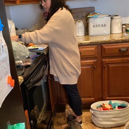 Dachshund Puppies from MNE Miniature Dachshunds