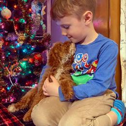 Cockapoo puppies from Dream Doodles and Cockapoos