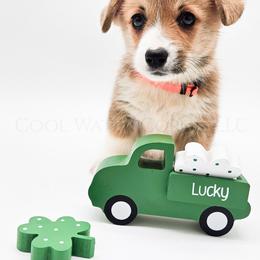 Confetti - Red female Pembroke Welsh Corgi puppy in Kiowa, Colorado from Cool Water Corgis LLC