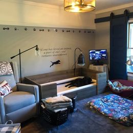 Labrador Retriever Puppies from Harvest Moon Farm