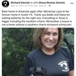 Miniature Schnauzer Puppies from Southern Charm Miniature Schnauzers