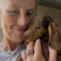 Daisy - Dapple female Dachshund puppy in Oklahoma from Rockin’ S Kennel
