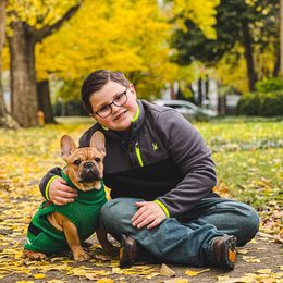 French Bulldog Puppies from Von Bales French Bulldogs