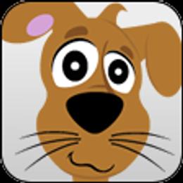Boy 2 - male Dachshund puppy in Polo, Missouri from Cool Runnin Dachshunds