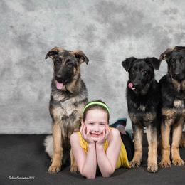 German Shepherd Puppies from Bmeerhuis German Shepherds