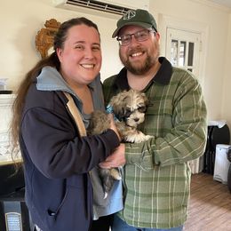 Sora - Fawn sable male Havanese puppy in Hudson, New York from Havanese of Claverack and Hudson Valley Labradors