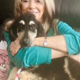 Puppy boy 1 - Black and tan male Afghan Hound puppy in Carlisle, Pennsylvania from Winterberry Afghan Hounds
