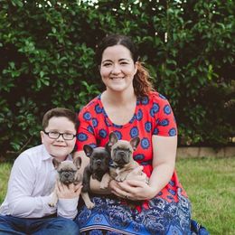 French Bulldog Puppies from Kring French Bulldogs