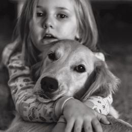 Millee - Golden Retriever