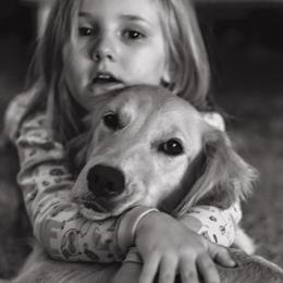 Millee - Golden Retriever