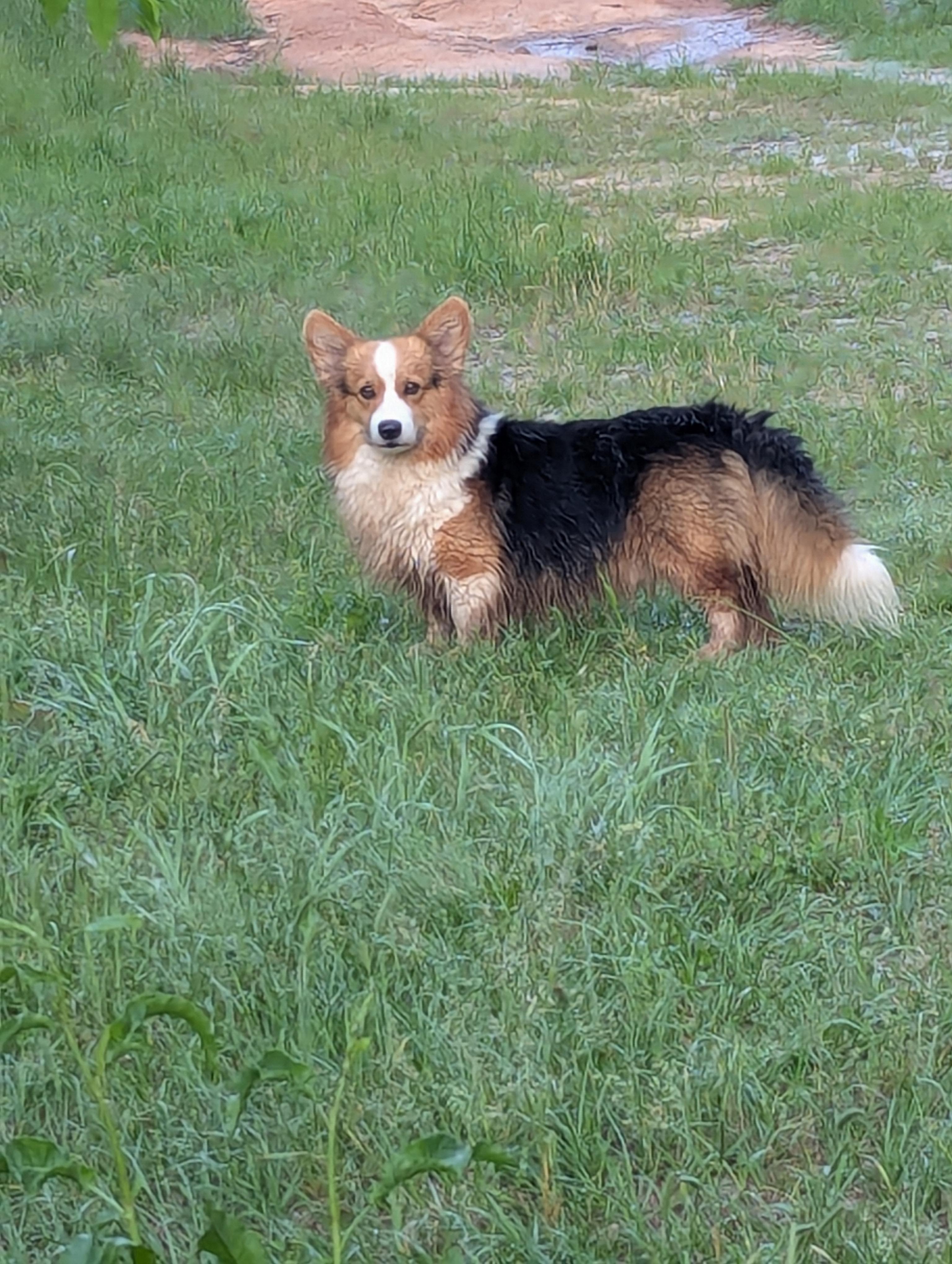 Monty