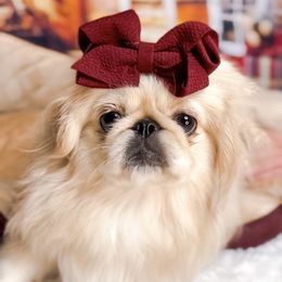 Cecelia - Pekingese