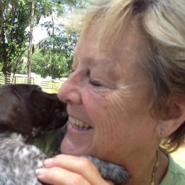 German Shorthaired Pointer Puppies from Wyndbourne German Shorthaired Pointers