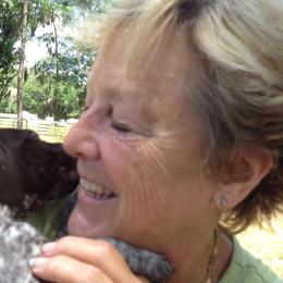 German Shorthaired Pointer Puppies from Wyndbourne German Shorthaired Pointers