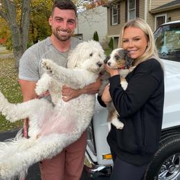 Aussiedoodle, Bernedoodle, Poodle, Shihpoo, and Shih Tzu Puppies from Route 66 Poodles & Doodles, Sapphire Shih-tzu's of Ohio