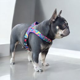 Chikis - French Bulldog