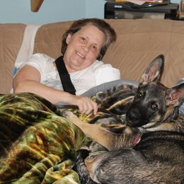 German Shepherd and Irish Wolfhound Puppies from Griffin's Mountain Miniature horses and kennel