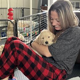 Golden Retriever Puppies from Golden Hour Golden Retrievers