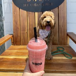 Aussiedoodle and Goldendoodle Puppies from Garside Doodles