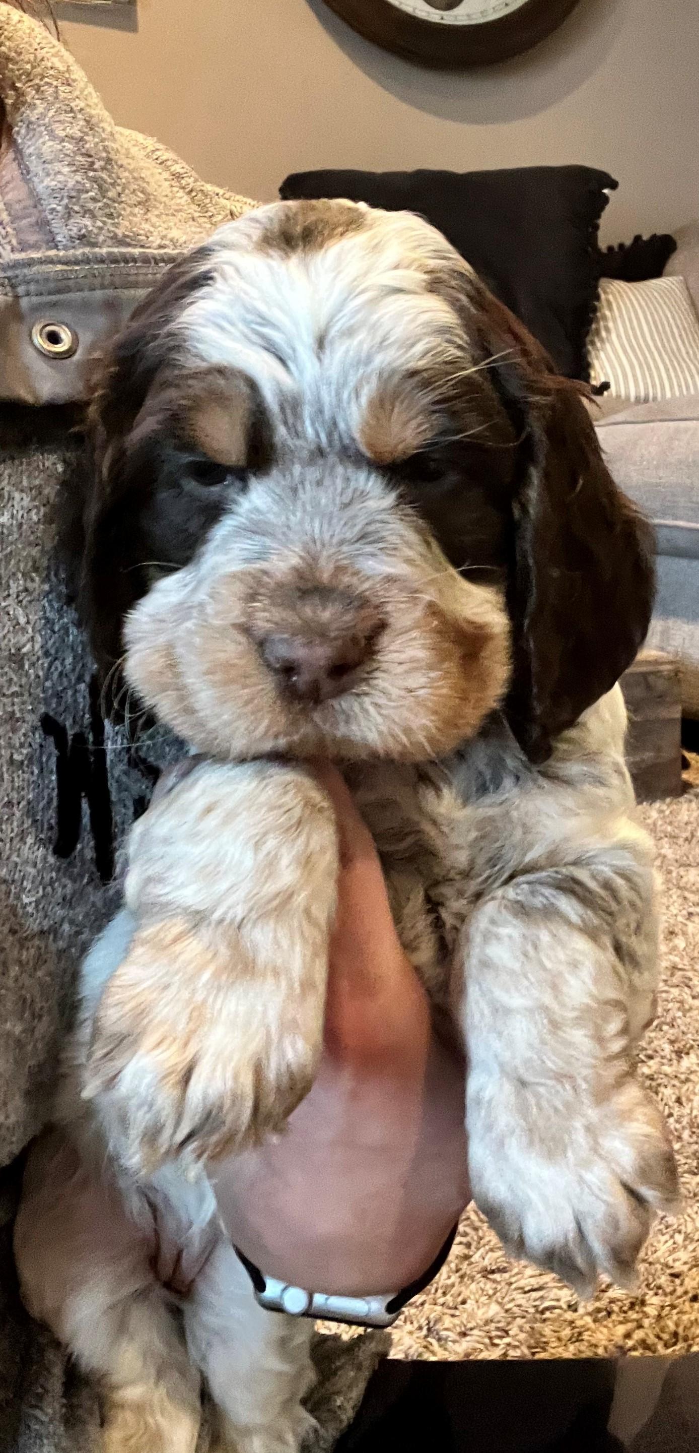 Winnie Lou