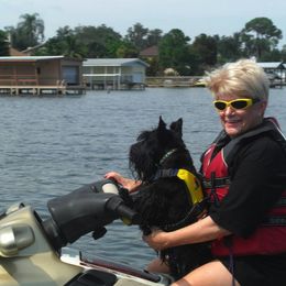 Scottish Terriers from Fairway Scotts