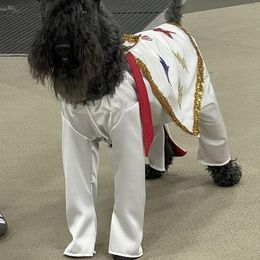 Kerry Blue Terrier All Grown Up from Lindmar Kerry Blue Terriers